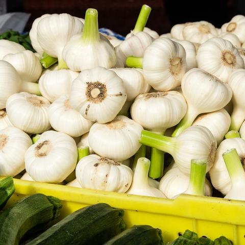 山东苍山蒜苔价格走势分析