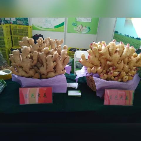 昌邑大姜价格走势分析