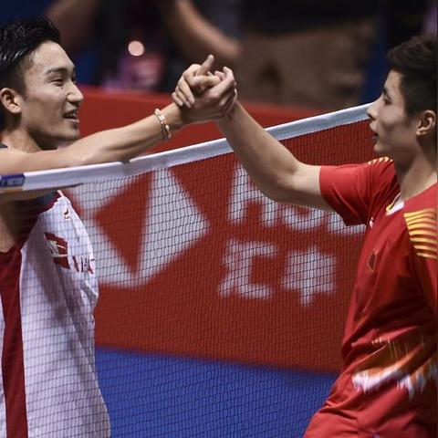 最新羽毛球教学视频全解析,提升技术至巅峰