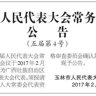 玉林市最新领导任免概览