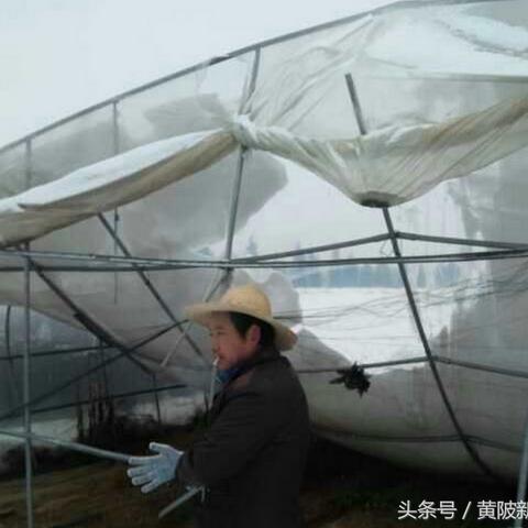 大棚技术员最新招聘启事