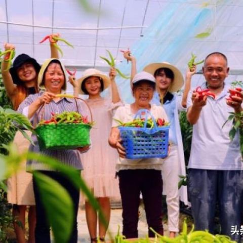 宁都宝融案最新进展报道