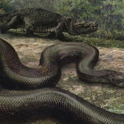 数字4的规范写法解析