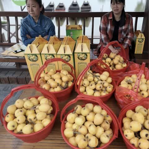 苦杏仁价格走势分析，最新行情速览