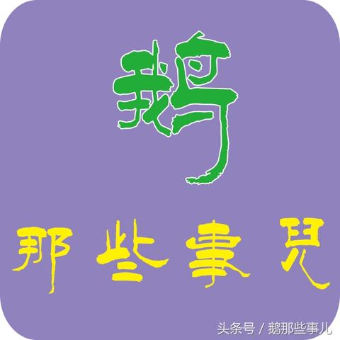 最新肉鹅价格行情解析