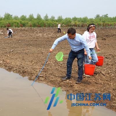 建湖京城国际房价走势分析