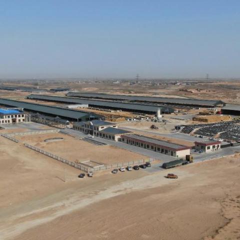 2025新澳今晚最新资料,蛇、鼠、马、虎_44-04-33-06-29-09 T：1364.574