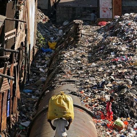 2025正版资料免费公开,鸡、马、牛、狗_07-14-15-30-11-28 T：2860.360