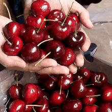 旺哥食品招聘启事，职位空缺，诚邀英才