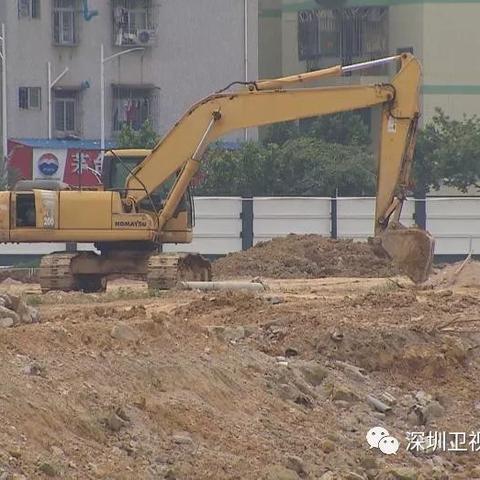 2025澳门开奖结果查询,鼠、牛、羊、鸡_44-37-03-11-38-08 T：2572.274