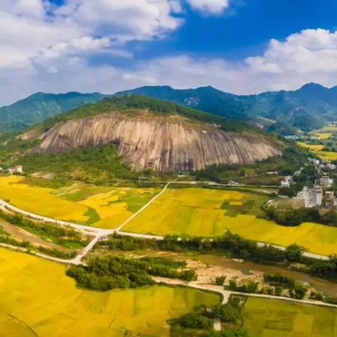 2025精准资料免费大全.,狗、猴、马、牛_28-26-37-09-31-10 T：1611.692