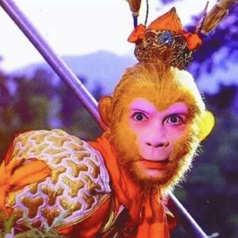 2025精准资料免费提供,猪、马、猴、狗_46-23-24-34-33-07 T：1923.943