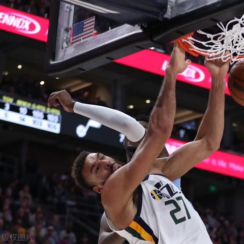 2025年森林法，守护绿色生态，共创美好未来