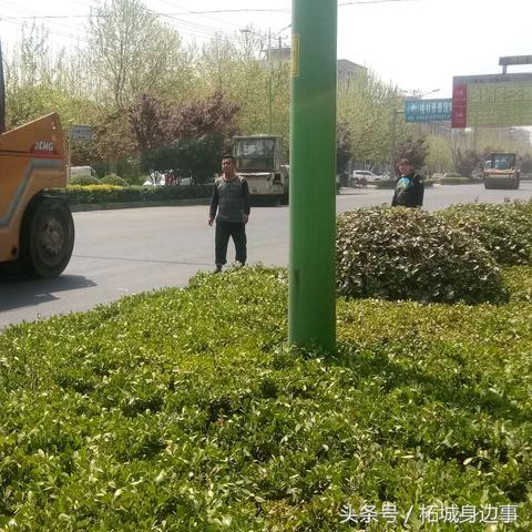 柘城南环规划最新解读