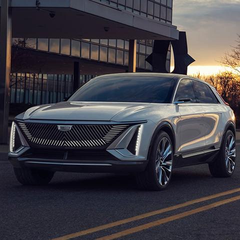 揭秘最新社会毒句，真相与挑战 2025数据解析