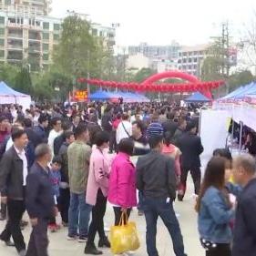 阳春市招工信息最新详解