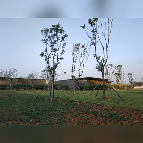 桂阳公路最新动态消息速递