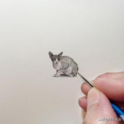 Q友乐园女生潮流趋势大解析