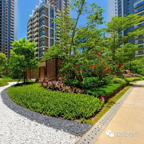 平沙九号最新报价与市场走势分析