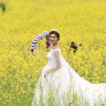 西安林河春天最新进展信息