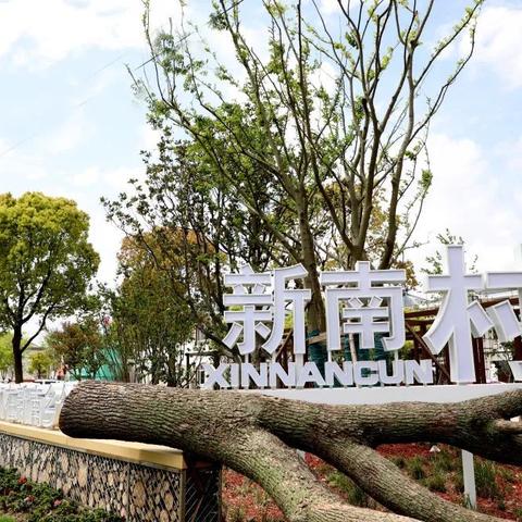 新场中优最新进展动态