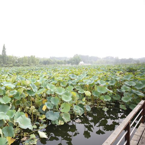 平谷马坊物流招聘更新速递