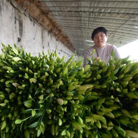 宁波焊工招聘启事，工地急聘焊工人才