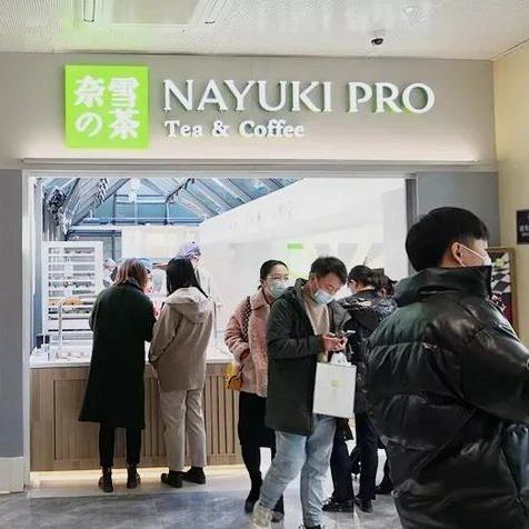 引领潮流！2025椰子鞋最新款全解析展望