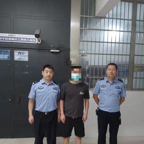 安乡房屋出租最新信息解析