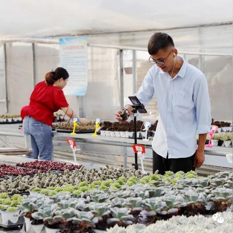 沭阳贴吧今日新闻概览（XXXX年XX月XX日更新）