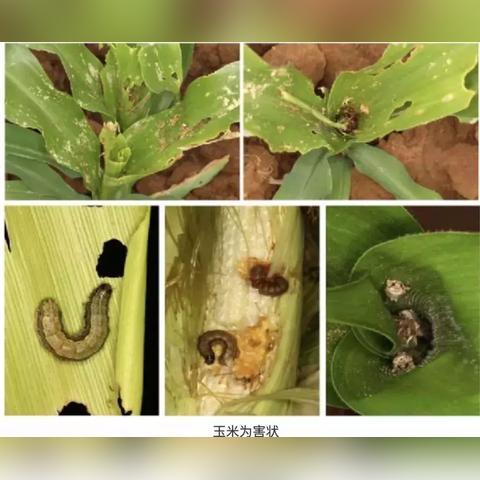 开车邦APP最新版，智能驾驶助手的革新里程碑