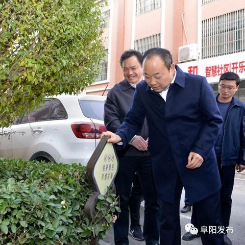 颍东区最新征迁地块全面解析