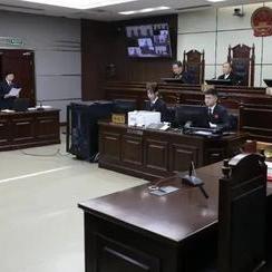 费圣英最新职务及在公司关键作用解析