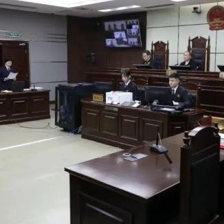 费圣英最新职务及在公司关键作用解析