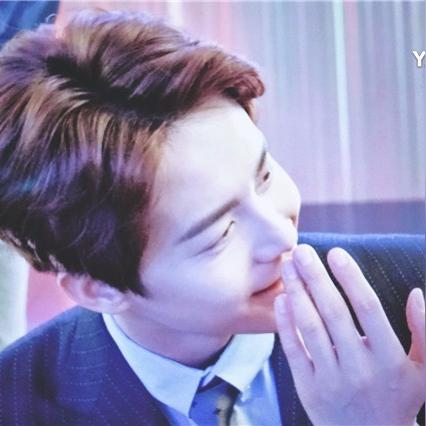 绅士领域app最新版，尊贵体验探索新领地