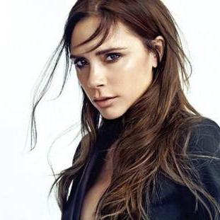 绅士领域app最新版,尊贵体验探索新领地