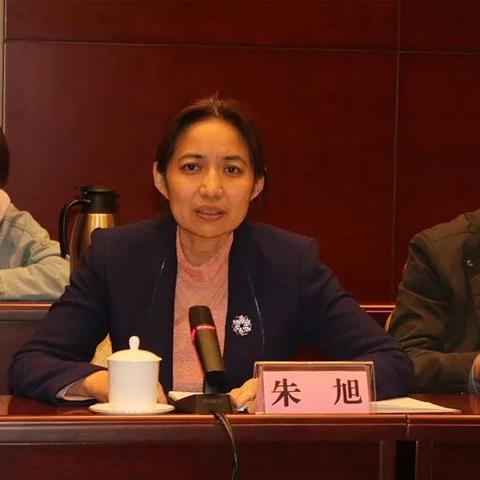 东营西城最新招聘信息全面解析