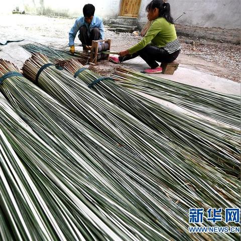 柳州百朋灭门惨案最新进展揭秘