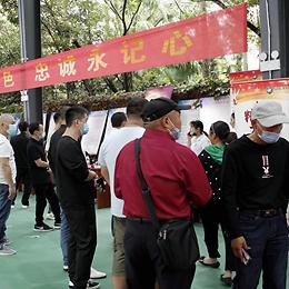 嘉定南翔最新招聘信息更新