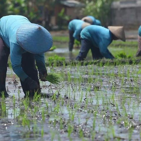 湖南92号汽油最新价格走势分析