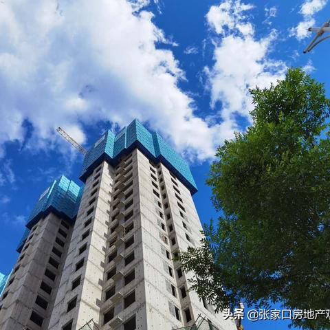 张家口楼市最新动态深度解析