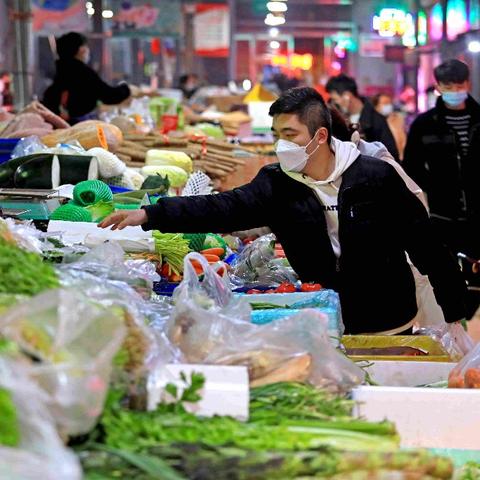 西安蔬菜最新批发报价分析