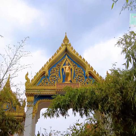 洛阳白马地块规划更新