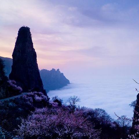 菏泽旅行社报价及旅游行程推荐