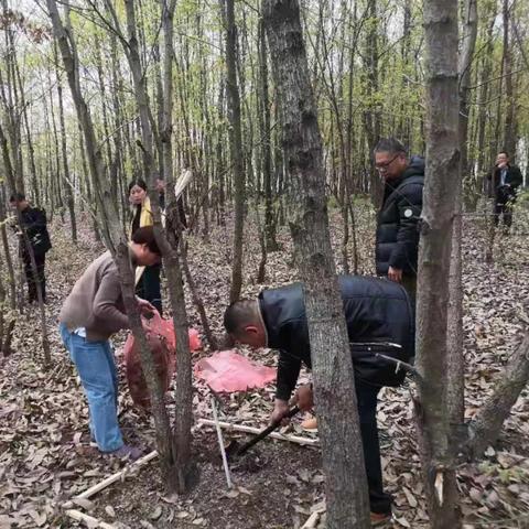 邓州市张楼地区最新规划蓝图揭秘(XXXX年展望)