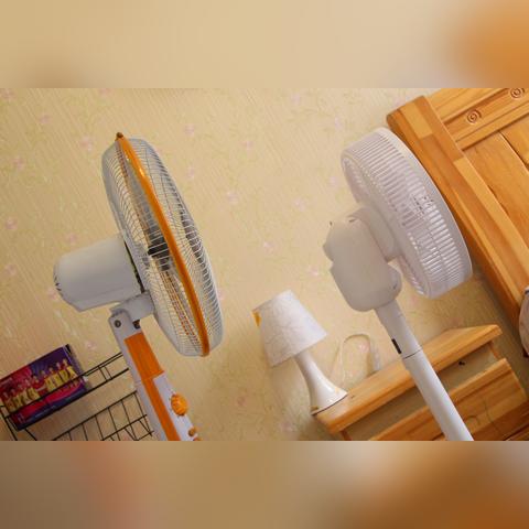 德国室内设计最新趋势,数据驱动现代美学风采