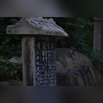 泰安商铺出租信息更新