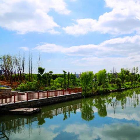 龙港世纪大道楼盘全面解读报告