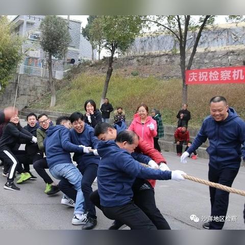 沙洋工厂招聘最新信息公告