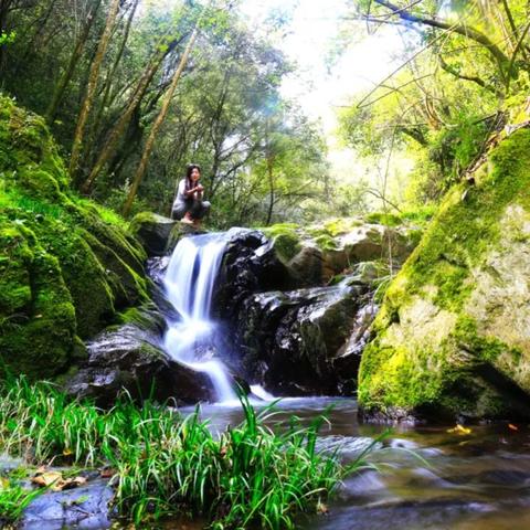 太和美景公园更新动态速递